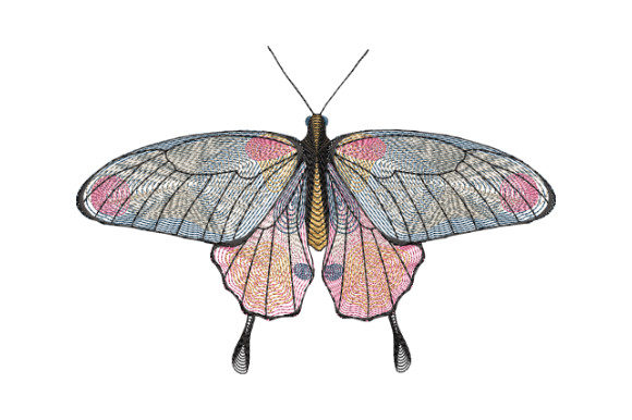 Butterfly with Gray and Pink Wings