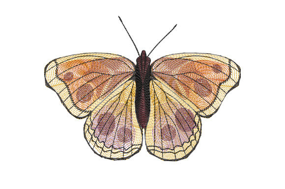 Yellow Butterfly with Burgundy Spots